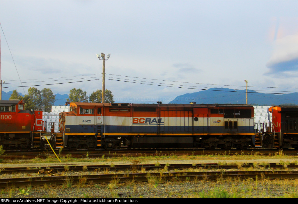 BCOL 4622